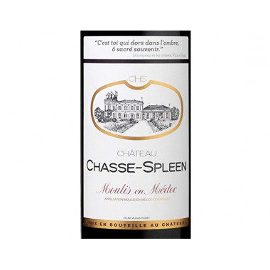 Chasse-Spleen 2019 - Moulis-en-Médoc